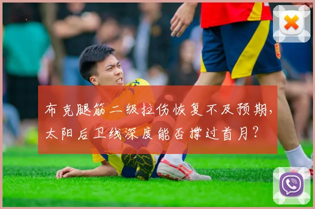 布克腿筋二级拉伤恢复不及预期，太阳后卫线深度能否撑过首月？